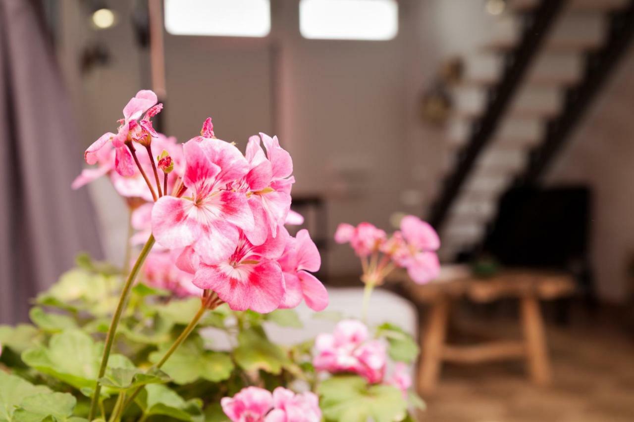 에보라 Casa Do Sul 빌라 외부 사진
